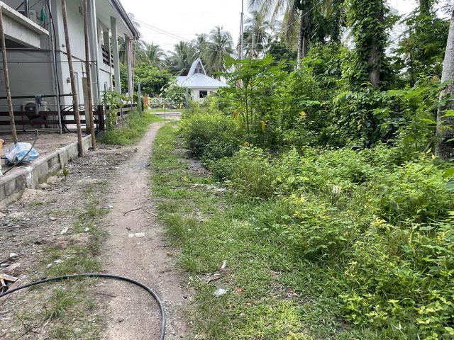 place photo 35