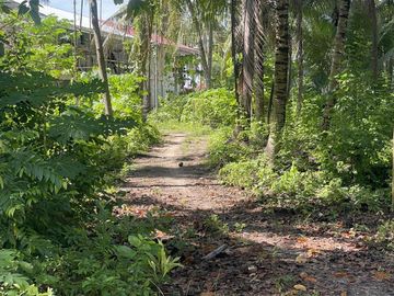 place photo 39