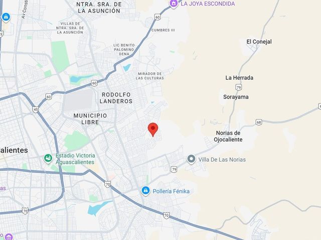 place photo 6