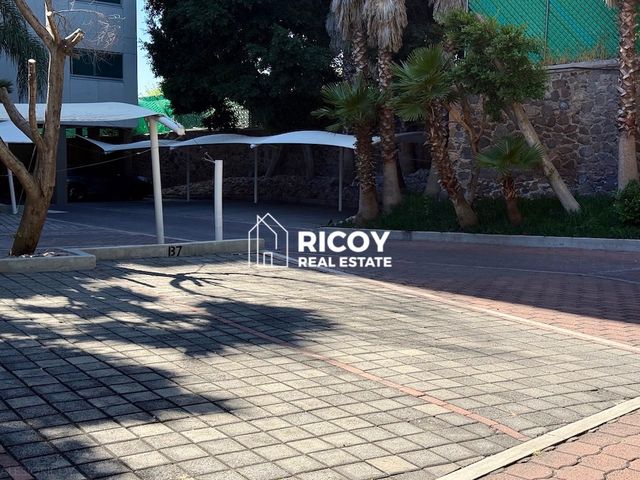 place photo 28