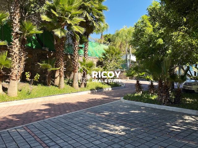 place photo 29