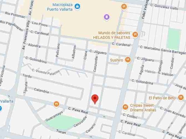 place photo 9