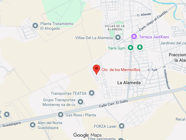place photo 15