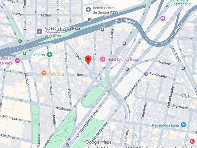 place photo 7