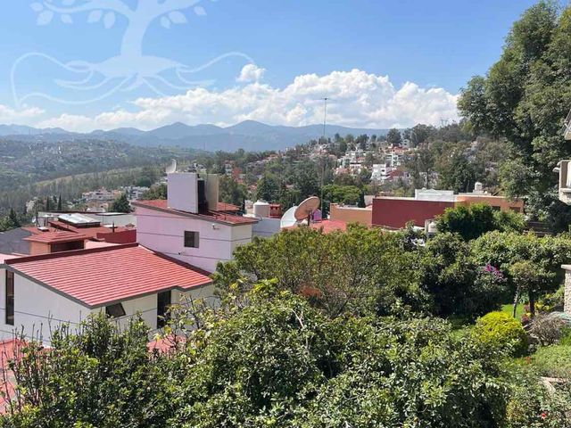 place photo 41