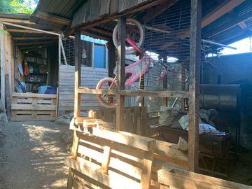 place photo 20