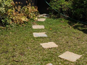 place photo 49