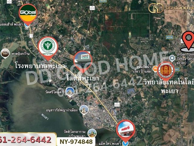 place photo 10