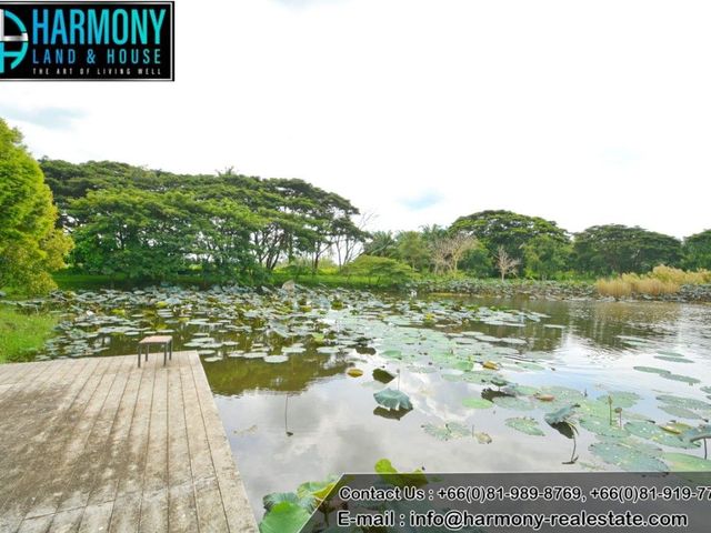 place photo 42