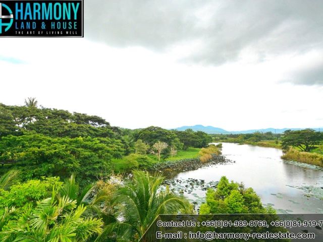 place photo 46
