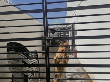place photo 61