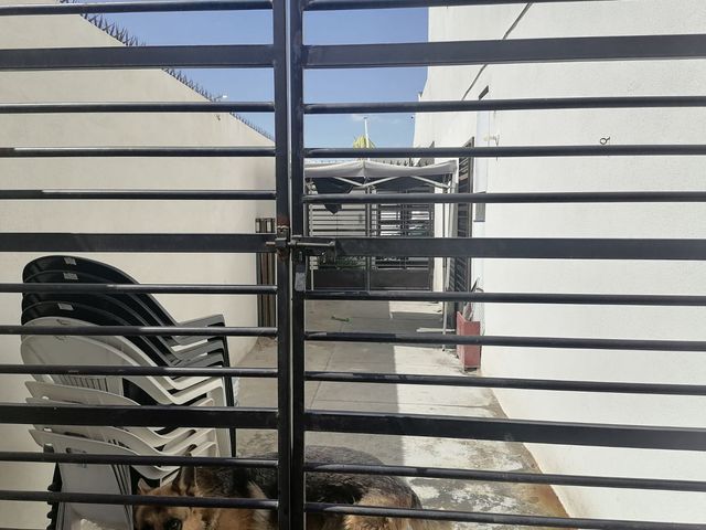 place photo 62