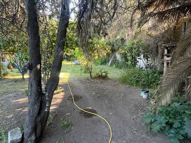 place photo 17