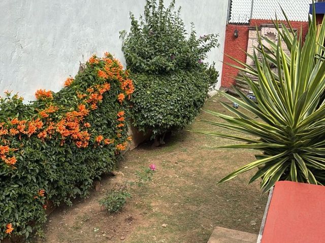 place photo 33