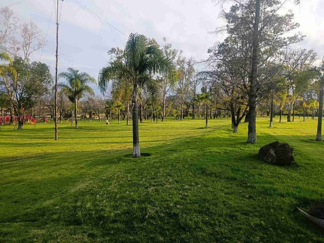 place photo 38