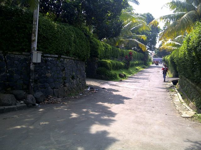 place photo 15