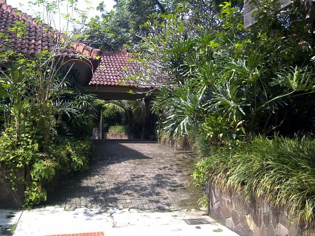 place photo 19