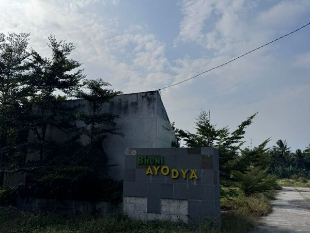 place photo 6