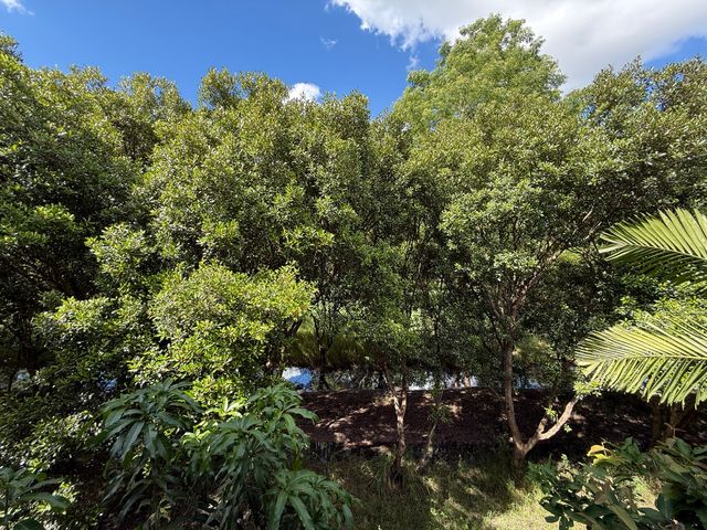 place photo 40