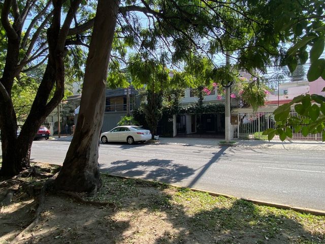 place photo 49