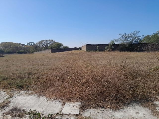 place photo 10