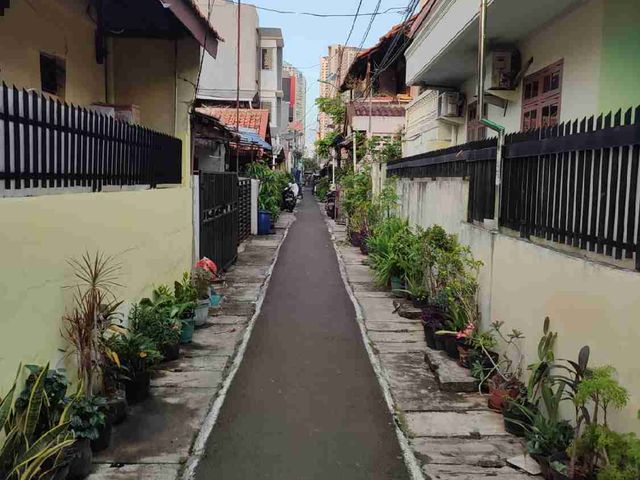 place photo 7