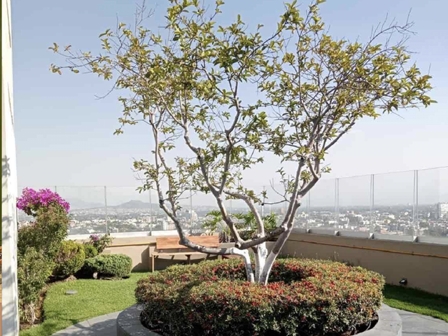 place photo 33