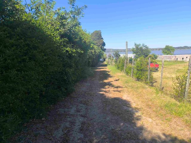 place photo 39