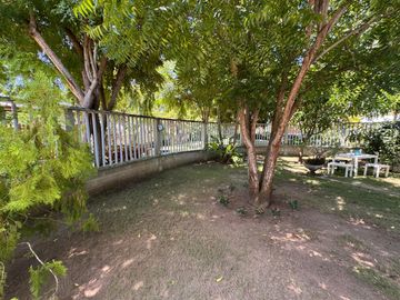 place photo 57