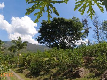 place photo 37