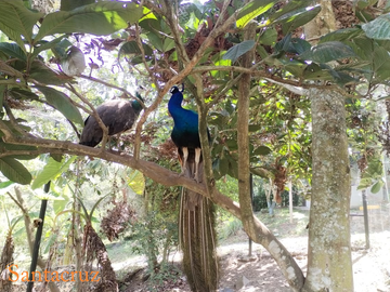 place photo 43