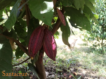place photo 41