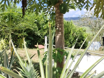 place photo 45