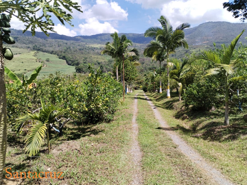 place photo 48