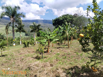 place photo 51