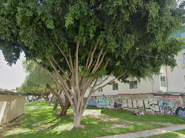 place photo 16
