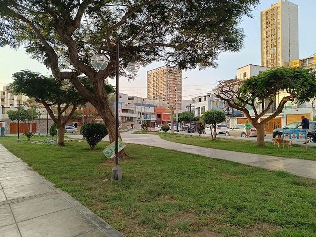 place photo 17