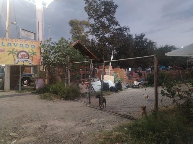 place photo 2