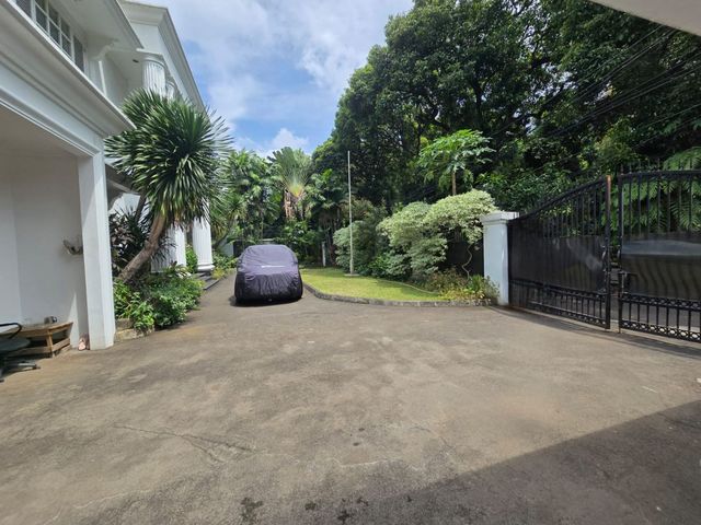 place photo 16