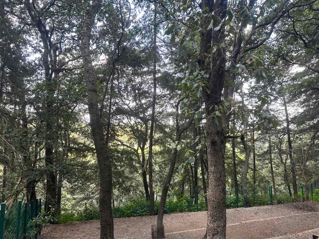 place photo 30