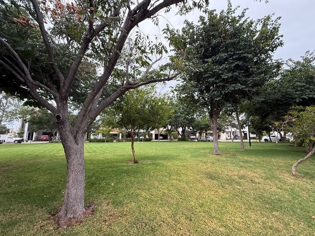 place photo 31