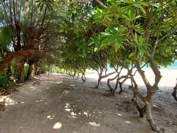 place photo 29