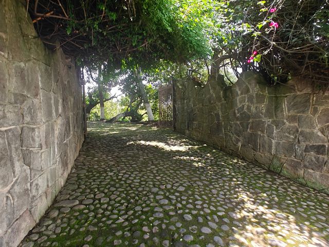 place photo 22