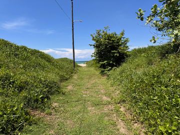 place photo 66