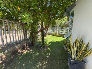 place photo 61