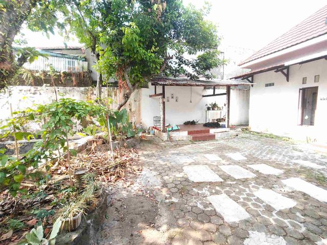 place photo 15