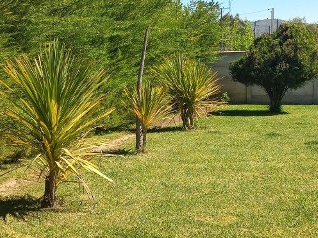 place photo 74