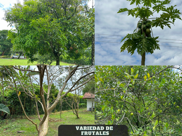place photo 31