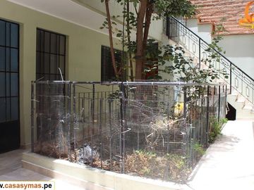 place photo 18