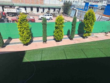 place photo 19